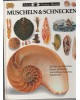 Sehen-Staunen-Wissen - Muscheln & Schnecken