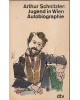 Arthur Schnitzler - Jugend in Wien - Autobiographie