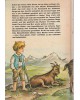 Das Große Heidi-Buch