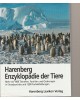 Harenberg - Enzyklopädie der Tiere. Mehr als 1400 Tierarten, Familien und Ordnungen in Einzelporträts und 1280 Farbabbildungen