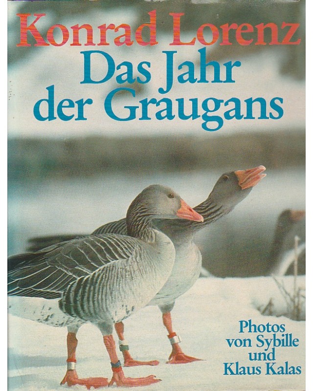 Das Jahr der Graugans