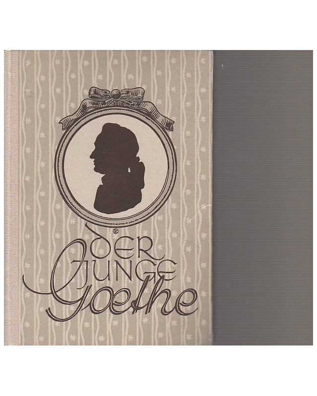 Goethe - Der junge Goethe - Lyrik und Leben