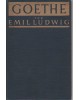 Goethe - Geschichte eines Menschen