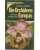 Kosmos Naturführer -  Die Orchideen Europas - 247 Arten, 51 Unterarten