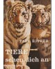 Tiere sehen dich an