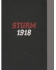 Sturm 1918