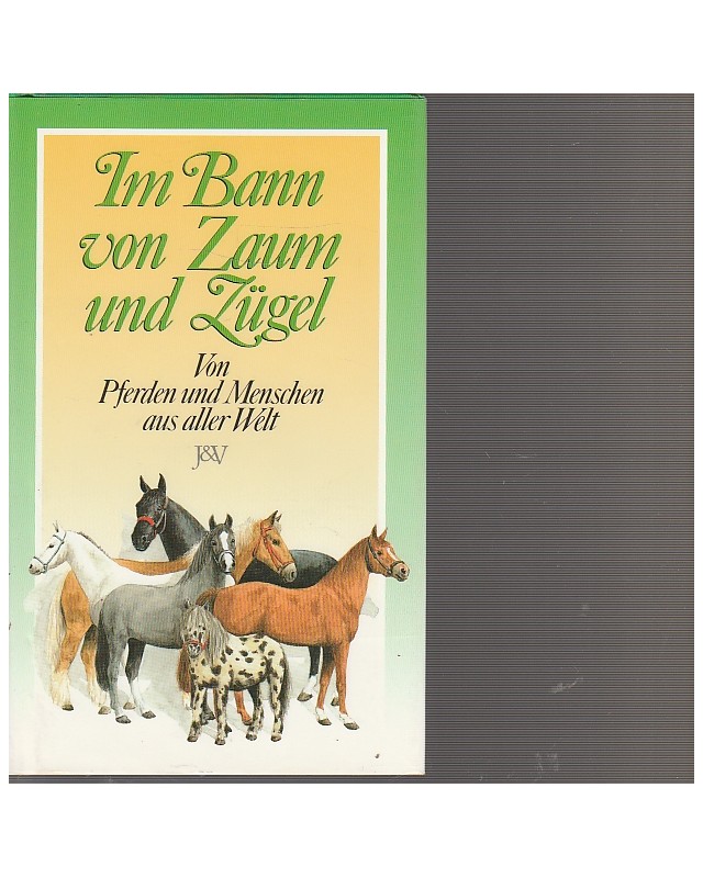 Im Bann von Zaum und Zügel