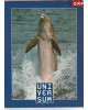 UNIVERSUM - Jahrbuch 2000 zur ORF Serie - Thema: Natur und Tiere