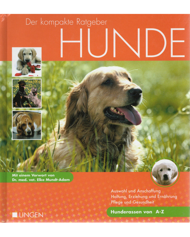 Hunde - Der kompakte Ratgeber