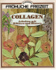 Collagen - Arbeiten mit Blättern und Blumen