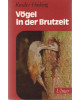 Vögel in der Brutzeit