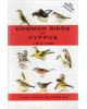 Common Birds of Cyprus