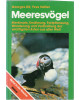 Meeresvögel