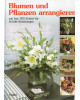 Blumen und Pflanzen arrangieren