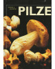 Pilze - Sammeln, kochen und geniessen