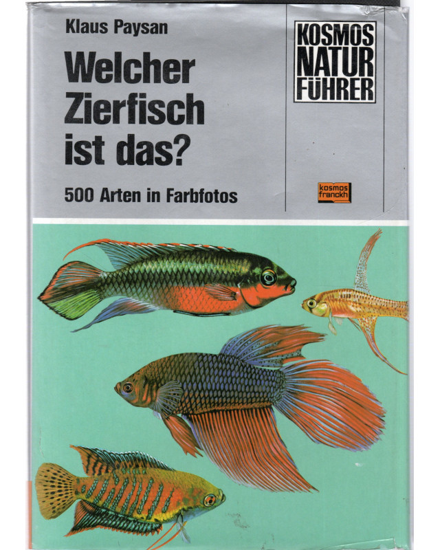 Welcher Zierfisch ist das ?