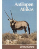 Antilopen Afrikas