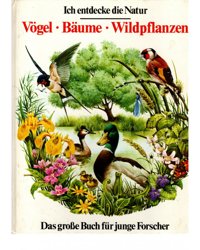 Ich entdecke die Natur - Vögel Bäume Wildpflanzen