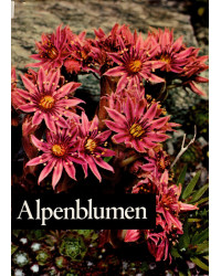 Alpenblumen