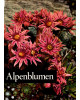 Alpenblumen