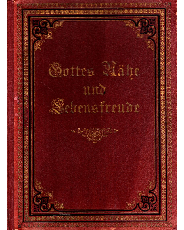 Gottes Nähe und Lebensfreude - Ein Lebensbuch