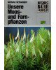 Unsere Moos- und Farnpflanzen