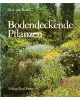 Bodendeckende Pflanzen