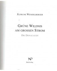 Grüne Wildnis am großen Strom