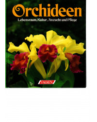 Orchideen