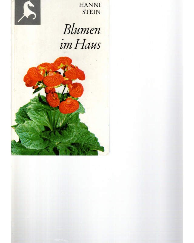 Blumen im  Haus